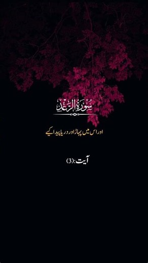 Surah Ar-Ra’d Ayat 3 | Allah Ki Qudrat 🌍#surahrad #tarjuma #shortsfeed