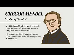 The World of Genetics