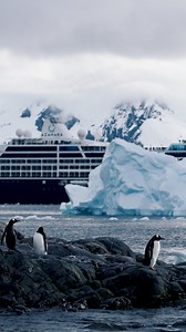 A once-in-a-lifetime experience, traveling to Antarctica can feel like a dream. Travel content creator and blogger Erin Berrebi from Cohlab-NYC recently sailed to the remote, icy continent on a 17-night sailing with us. Her latest blog post takes you on a journey through her experience sailing through this icy wonderland, what it was like onboard, and everything you need to know to prepare for an Antarctica cruise. Read more: https://erin-cohen.com/visiting-antarctica/ #MoreToSea #Azamara #Antar