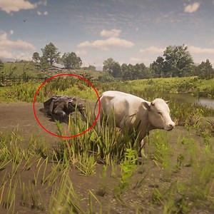 516K views · 1.2K reactions | Crocodiles Attacks Indian Cow | Gameroom | Facebook