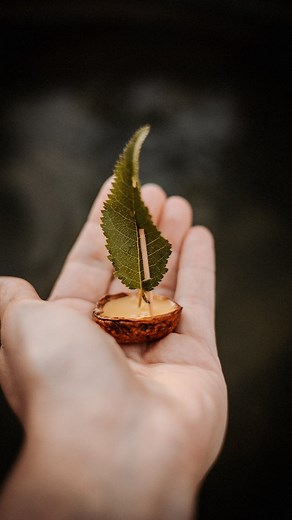 Melissa • Mama • Waldorferzieherin • Kreative | 🌊Walnut shell boats ✨️ I find walnut shell boats incredibly charming because they evoke a sense of nostalgia and simplicity. Crafting... | Instagram