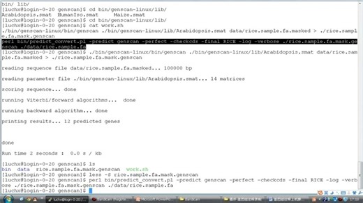 3.3 基因结构预测