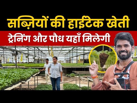 How to Start Hi-Tech Vegetable Farming? || Indo-Israel Centre Haryana || Sabzi ki kheti