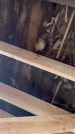 31K views · 486 reactions | In situations like this, it’s wise to call an engineer. #fyp #fypシ #framing #DIY #fail #construction #build #roof #structure #engineer #engineering #code #inspectedrejected #inspectedaccepted #inspectiontherapy #homeinspection #homeinspector #insulation #strong #new #realestate #wow #reinforced | Inspection Therapy | Facebook