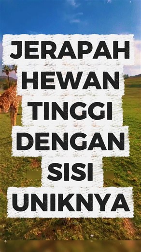 The unique side of the long-necked giraffe #uniquefacts