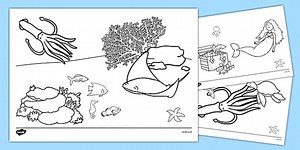The Little Fish Colouring Sheets