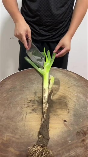 How to Make a Delicious Vegetable Cake