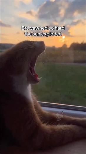 #relatablememes 🤯