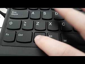 MI PUNTERO HA DESAPARECIDO EN WINDOWS