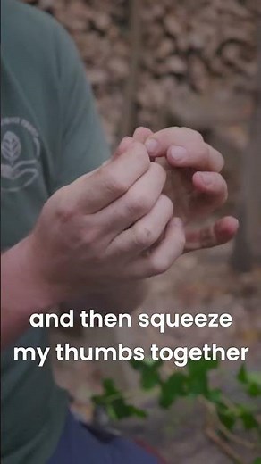 Unlock the Secret to Making a Bird Call With Grass!