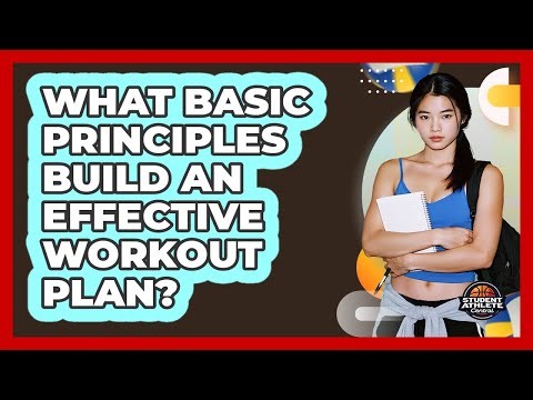 What Basic Principles Build An Effective Workout Plan?