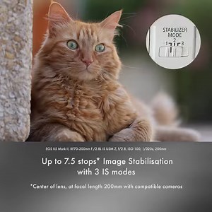 The Canon RF70-200mm f/2.8L IS USM Z— a versatile hybrid telephoto zoom lens for pro-level stills and video! With an impressive f/2.8 aperture and up to 7.5 stops of image stabilisation when paired with compatible cameras, it’s built to capture crisp detail at any distance. Perfect for hybrid creators ready to elevate their shots, near and far. Dive into all the details: https://bit.ly/4f1GJIS | Canon Imaging Asia