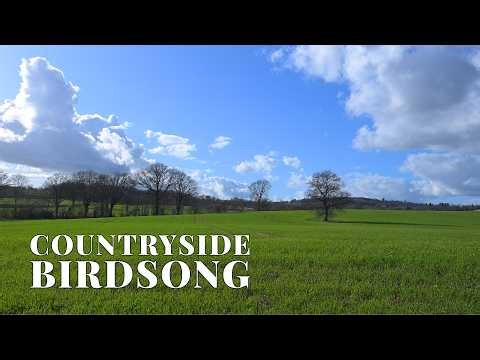 1 Hour Countryside Birdsong & Wind | British Spring Meadow Ambience | Nature Sounds Ambience
