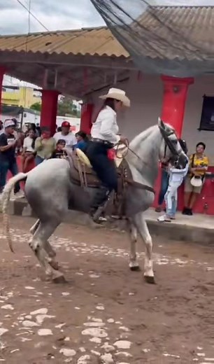 🐴🫶🏻 | Ingrid Janet Gonzalez