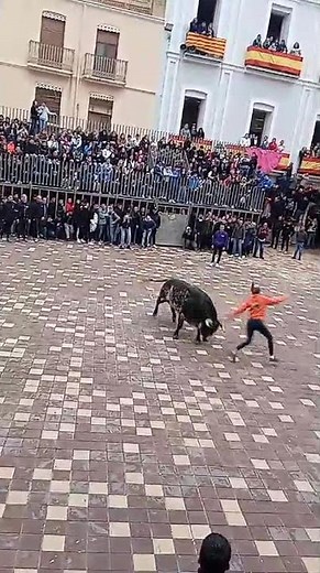 Incredible Bull Dodge in the Streets of Spain Brave Man vs Furious Bull! #short #bulldodging #bull