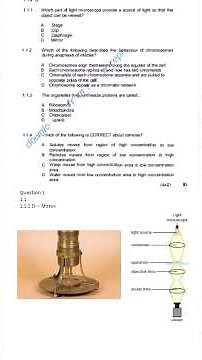 Watch full video ‪@StudyBiologywithMissA‬ Grade 10 March 2022 Life Sciences test #grade10 #test