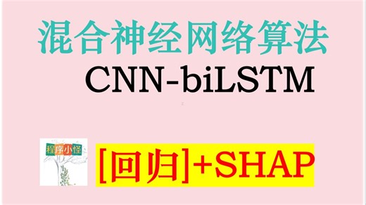 7、基于cnn-bilstm回归预测代码高质量讲解（含shap值分析）