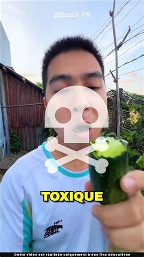 Quel est le secret du concombre explosif 💥🥒