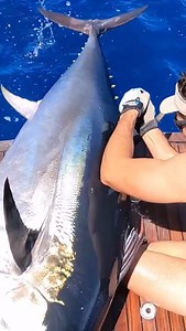 1.1M views · 10K reactions | Releasing GIANTS! ‘When you work hard...