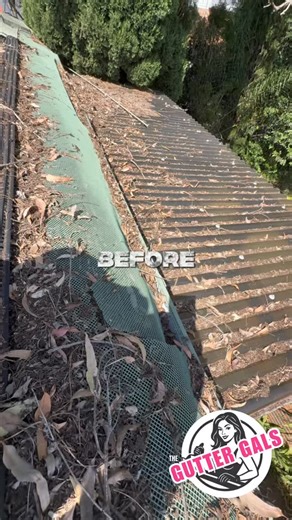This was a whopper of a job! Full gutter guard removal, disposal & full gutter reset. Complete with a full roof report and happy clients! Worth every second for this final result 朗朗 We also completed the side shed gutters and full external blow out & debris removal around the perimeter of this home. #glowup #guttergals #theguttergals #explore #beforeandafter #clean #gutter #roofing #girls Ripper job to the gals on this one!! ☝️ | The Gutter Gals | Facebook