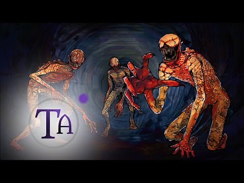 DMT and Entity Encounters