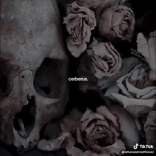 Understanding Cerberus: The Guardian of the Underworld