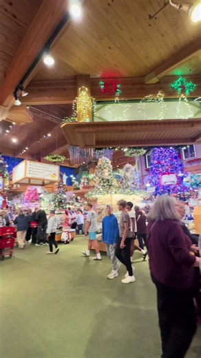 Cross Border Shopping Haul Experience at Target