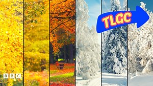 What season are you?