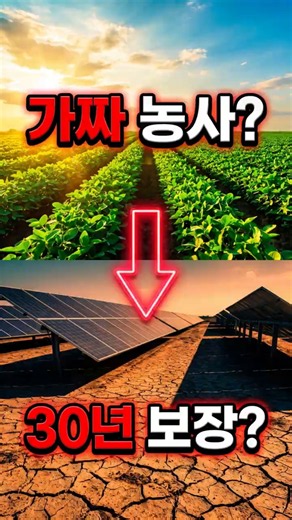 농사는 짓는 척만? 영농형 태양광법, 이대로 괜찮을까 🤔 #가짜농사 #신재생에너지 #햇빛소득마을 #태양광 #영농형태양광
