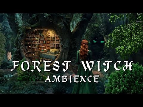 Forest Witch Ambience 🌲- Witchcraft Meditation with Forest Sounds & Rain - 🍃- Reading Nook in Nature