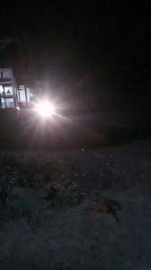 Good night | Emily Chloe