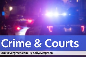 Former WSU student sentenced for vehicular assault