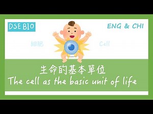 [DSE Biology - Key Points] A 18-minute lecture on "The Cell as the Basic Unit of Life"!
