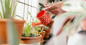 How to make voluntary super contributions - NGS Super