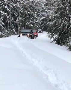 39K views · 1.2K reactions | Snowy Trail Adventures are the best. ❄️ | Jeep Life | Facebook