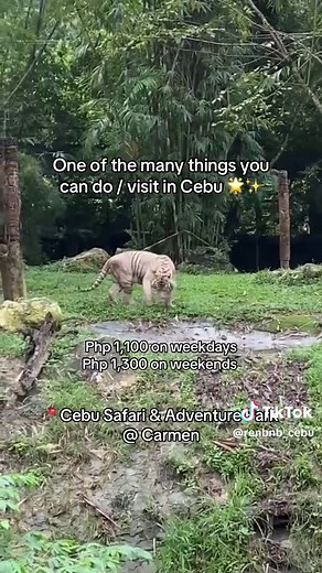 Explore Cebu Safari & Adventure Park: A Family Adventure