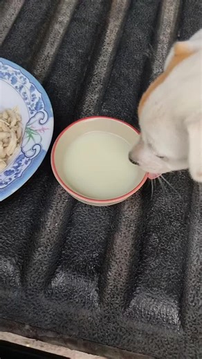 Sangop100 บน TikTok