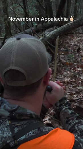 Gotta make them boys wanna fight 🦌🦌 #publicland #applachia #publiclandhunting #rut #rattle #georgiapublicproject #mobilehunter #northga #northgamountains @fosterthewildd