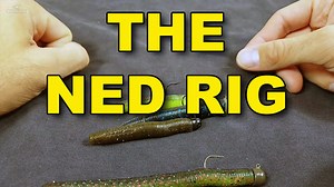 The Ned Rig: Proven Tactics You Need To Know