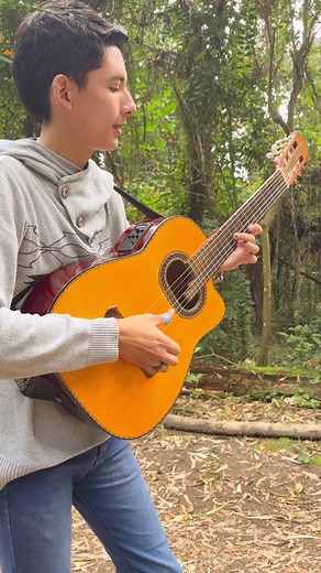 El Pajaro Campana 🦜🔔 🇵🇾#instrumental #yagorobles #ecuador #guitar ...