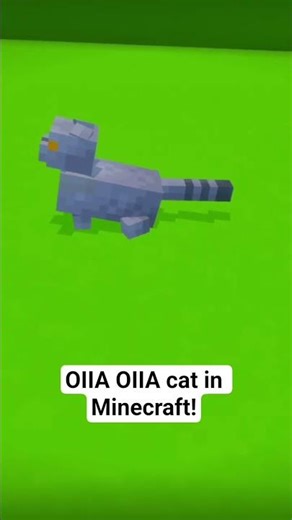 OIIA OIIA cat in Minecraft!!!