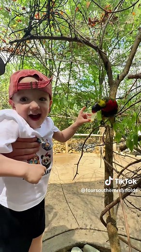 Creative Zoo Birthday Party Ideas for Toddlers