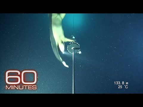 Alexey Molchanov’s world record dive