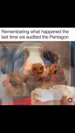 42 reactions | Oh I’ll never forget. | Full Semi Auto | Facebook