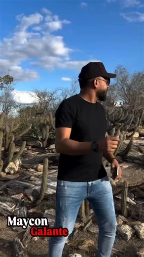 Maycon Galante on Instagram: "Quando começa a invernada no meu cariri fica tudo verdinho que dá gosto. E é com essa música do @juniorviannaoficial que me identifiquei com a realidade do nosso cariri nossa vegetação seca resistente, mas quando a chuva chega flores toda nossa mata fazendo pasto para os rebanhos. Que Deus abençoe o homem do campo e que seja um ano cheio de prosperidade e riquezas que o líquido mas preciso do nosso cariri. Siga @maycon_galant Páginas parceiras . @vaqueiro_top10 @vaq