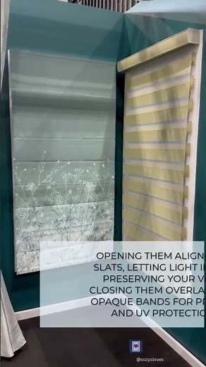 How Do Zebra Blinds Work?