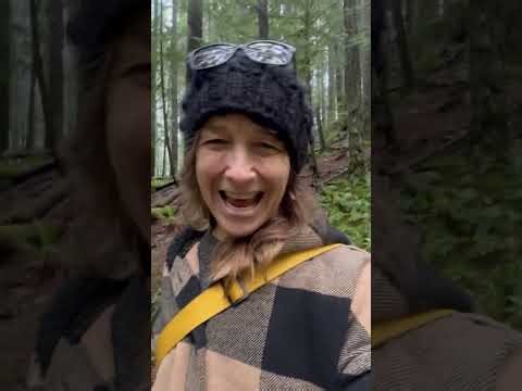 The Negativity Bias Explained