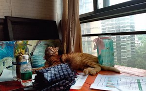 snapseed新手上手教程