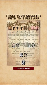 Curious about your family’s past? 🧬This app helps you trace your roots, uncover generations, and build your full family tree with just a few taps. ⤵️ | Insiderbits