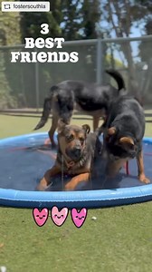 1.3K views · 48 reactions | Matching best friends Cole, Robbie, and...